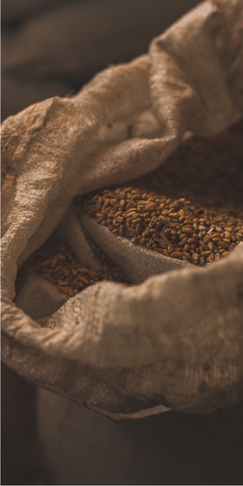 5-ueberuns_bohnen-sack