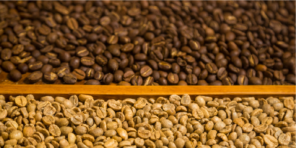 5-ueberuns_bohnen-vergleich