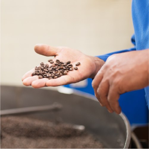 5-ueberuns_kaffee-probe